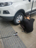 佳通輪胎（Giti）汽車輪胎全新 228V1 205/60R16 92V 科魯茲英朗 曬單實(shí)拍圖