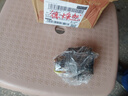 重瓣大花芍藥花苗帶芽根塊四季花卉多年生陽臺(tái)庭院芍藥花戶外盆栽 1紅魅【5－8芽】根塊8-13cm 不含盆 曬單實(shí)拍圖