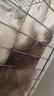 寵德多狗狗項圈中大型犬尼龍脖圈帆布狗圈拴狗項圈 M（70-120斤） 曬單實(shí)拍圖