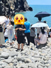 Converse匡威兒童裝男童短褲2025夏季新款中大童女童休閑運(yùn)動(dòng)褲子五分褲 正黑色 160 /66 【建議身高152-158cm】 曬單實(shí)拍圖