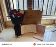 蔻馳（COACH）【官方授權店】奢侈品女包ZIP30系列托特包單肩手提包送女友禮物 4455IME74卡其棕色配色 曬單實拍圖