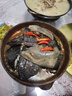 掌昕鮮【活鮮】漢壽縣生態(tài)甲魚團(tuán)魚王八 鱉1.4-1.6斤 源頭直發(fā)包郵 曬單實(shí)拍圖