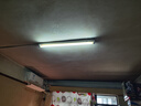 飛利浦（PHILIPS）熒光燈管啟輝器跳泡C10啟輝器220V4-65W C10啟輝器 【1個】 曬單實拍圖