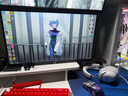 泰坦軍團(tuán)24.5英寸 1152分區(qū) MiniLED 2K 320Hz DyDs技術(shù) RGB背光燈 升降旋轉(zhuǎn)1msGTG專業(yè)電競(jìng)顯示器P245MS+  曬單實(shí)拍圖