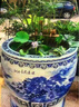 魔都景德鎮陶瓷魚(yú)缸手繪青花龍紋古法特大號睡蓮荷花辦公廳室外風(fēng)水缸 龍騰四海直徑63cm*高42cm 曬單實(shí)拍圖