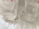 采緹（CAITI）食蚊魚 能生小魚的魚 滅蚊蟲工具魚 飼料魚 群游觀賞魚群游冷水魚 食蚊魚1-2cm左右20+5條防損 曬單實(shí)拍圖