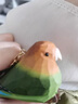 結(jié)盟者手工雕刻木頭小鳥(niǎo)原木風(fēng)可愛(ài)仿真麻雀鸚鵡山雀動(dòng)物桌面裝飾品擺件 珍珠鳥(niǎo)【送木塊底座】 曬單實(shí)拍圖