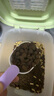 Orijen渴望貓糧 成貓幼貓干糧 六種魚肉無谷全價通用進口5.4kg效期26/5 曬單實拍圖
