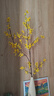 赟婭石來(lái)運轉簡(jiǎn)約輕奢細高長(cháng)陶瓷花瓶電視玄關(guān)柜入戶(hù)門(mén)壁龕裝飾品擺件 石來(lái)運轉玻璃球花瓶-米色+黃花 曬單實(shí)拍圖