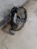 樂(lè)浦（Lopol） 趴地扇家用工業(yè)風(fēng)扇強(qiáng)力大功率臺(tái)式大電風(fēng)扇落地扇強(qiáng)勁大風(fēng)力 黑色20寸按鍵款加長(zhǎng)線+加厚螺旋網(wǎng)罩 曬單實(shí)拍圖
