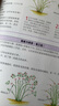 剪枝——庭院常見植物修剪（庭要素） 藤蔓、樹籬、花木、果木修剪、造型 曬單實拍圖