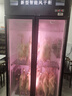 束電燒鴨風(fēng)干柜商用晾胚柜晾鴨柜雙門單門3門烤鴨智能烘干柜燒鵝燒臘乳鴿風(fēng)干機(jī)酒店專用除濕解凍保鮮 豪華小雙門-風(fēng)干/保鮮/除濕+全銅管制冷 曬單實拍圖