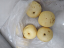 星派果（XINGPAIGUO）正宗河北皇冠梨10斤當(dāng)季皮薄新鮮脆甜多汁小花皮脆梨酥梨雪花梨 皇冠梨 精選3斤 曬單實(shí)拍圖