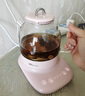 小熊（Bear）迷你養(yǎng)生壺 養(yǎng)生杯 小型花茶壺 燒水壺辦公室恒溫杯子玻璃花茶壺 【迷你櫻花粉】YSH-F08E1 0.8L 曬單實(shí)拍圖