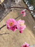 儒意（RUYI）水楊酸果酸次拋精華液補(bǔ)水收縮毛孔粗大祛痘修復(fù)淡化痘印痘坑男女 曬單實(shí)拍圖