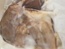 黑六 北京黑豬香鹵熟食 真空即食 下酒菜 醬香豬肘220g 曬單實拍圖