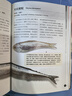 菜市場(chǎng)魚(yú)圖鑒 餐桌上的海洋生物科普 自然觀(guān)察叢書(shū) 曬單實(shí)拍圖