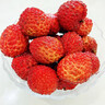 奧妙（OMO） 除菌除螨酵素洗衣液12斤（3kg*2）72小時抑菌 99%除螨 家庭必備 曬單實拍圖