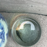 觀賞魚魚苗清道夫糞便盤便宜熱帶工具容易飼養(yǎng)清潔魚缸清道 10-12cm清道夫1只女王1只 曬單實拍圖
