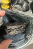 小海故事 霞浦頭水紫菜凈含量50g*2袋 源頭直發(fā) 無沙免洗 幼嫩爽滑葉片小 曬單實(shí)拍圖