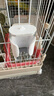 YEE鳥用飲水器喝水鸚鵡喂水器撞針自動大號水壺玄鳳喂鳥器【白色】 曬單實拍圖