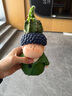 理然頭發(fā)蓬松噴霧發(fā)膠旅行裝定型噴霧蓬松水高顱頂干發(fā)噴霧45ml 曬單實(shí)拍圖