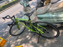 坎普（CAMP）RADON 公路車鋁合金順泰18變速單車圈剎運動賽車碳纖維前叉自行車 翡翠綠 18速 500碼 曬單實拍圖
