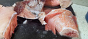 賣魚七郎紅石斑魚凈重3.2斤-3.4斤共2條海捕鮮活冷凍大眼魚整條富貴魚魚類 曬單實拍圖
