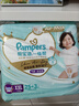 幫寶適（Pampers）一級(jí)幫拉拉褲 XXL50+6片【一級(jí)幫拉拉褲】 曬單實(shí)拍圖