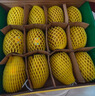 佳沛（zespri）新西蘭  陽光金奇異果16粒禮盒經(jīng)典果單果約 77-103g 水果 獼猴桃 曬單實拍圖