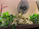 天祥緣銅馬擺件工藝品馬到成功馬純辦公室桌客廳禮品生肖馬飾品特大號 8號 銅馬到成功馬 配底座 曬單實拍圖