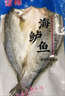 【京東冷鏈】紅石斑魚鮮活冷凍刺少肉厚大紅魚龍膽富貴魚海魚海鮮 紅石斑魚1.8斤-2斤/條 鮮活速凍超大紅石斑魚4條 曬單實拍圖