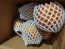 新鮮多汁云南高山沃柑薄皮生鮮水果整箱批發(fā)新鮮純甜橙子橘子桔子 凈重3斤 特大果【果徑70-80mm】 曬單實(shí)拍圖