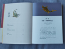 洛神賦圖：曹植的愛情（1800年愛情經典，至情至性通透讀本；愿在云間長比翼，珍藏饋贈兩相宜） 曬單實拍圖