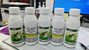 滬聯(lián)植保30%甲霜噁惡霉靈黃瓜水稻 苗期立枯病土傳病害農用農藥殺菌劑 曬單實(shí)拍圖