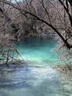 柯達(dá)（Kodak）MiniShot3 Era拍立得一次成像相機(jī)復(fù)古 家用便攜手機(jī)照片打印機(jī)二合一 七夕禮物結(jié)婚生日送禮 黃色套餐一（標(biāo)配+60張相紙） 曬單實(shí)拍圖
