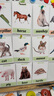 BURJUMAN英語閃卡大動物卡類主題單詞塑封卡片幼兒園小學(xué)兒童早教認(rèn)知 動物卡L1L258張中卡11*16cm 曬單實(shí)拍圖