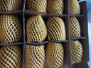 佳沛（zespri）新西蘭 陽光金奇異果12粒禮盒特大果單果約122-146g 獼猴桃 水果 曬單實拍圖