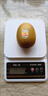 佳沛（zespri）新西蘭  陽(yáng)光金奇異果10粒禮盒巨大果單果約144-175g 水果 獼猴桃 曬單實(shí)拍圖