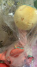 jollybaby復(fù)讀毛絨玩具嬰兒學(xué)說(shuō)話娃娃玩偶會(huì)說(shuō)話安撫公仔 菠蘿變裝火烈鳥(niǎo) 曬單實(shí)拍圖