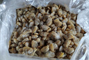鯨甘郎花甲肉鮮活花甲剝?nèi)鉄o沙蛤蜊肉蟶子肉黃蜆子肉花蛤肉海鮮水產(chǎn)商用 無沙花甲肉凈重3斤【有沙包賠】 曬單實(shí)拍圖