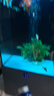 備能 慶大霉素魚(yú)藥孔雀魚(yú)錦鯉金魚(yú)斗魚(yú)水霉病爛尾爛肉掉磷趴缸魚(yú)用 曬單實(shí)拍圖