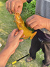 AUBELO魚(yú)護網(wǎng)兜加厚涂膠防掛速干不銹鋼雙圈漁護網(wǎng)黑坑競技裝魚(yú)釣魚(yú)網(wǎng)兜 雙圈款25*2.0米【3禮】 曬單實(shí)拍圖
