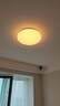Yeelight易來(lái)全光譜護(hù)眼吸頂客廳燈臥室智能米家APP歆月C400【包安裝】 曬單實(shí)拍圖