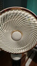 志高（CHIGO）【國(guó)家補(bǔ)貼】空氣循環(huán)扇電風(fēng)扇家用落地冰島智能語(yǔ)音遙控3D自動(dòng)搖頭負(fù)離子凈化節(jié)能輕音大風(fēng)力臺(tái)地 曬單實(shí)拍圖