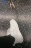 森馬男鞋夏季簡約百搭休閑高級感透氣板鞋男士運動防滑厚底增高小白鞋 白色 （基礎(chǔ)款） 41 曬單實拍圖