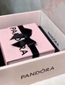 潘多拉（PANDORA）時(shí)刻星夜星軌戒指套裝寬版簡(jiǎn)約浪漫生日禮物送女友 告白禮盒 58mm 曬單實(shí)拍圖