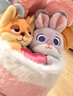 迪士尼（Disney）瘋狂動物城朱迪尼克甜蜜玩偶花束毛絨生日禮物女友七夕情人節(jié)禮物 曬單實拍圖