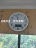 康巴絲（Compas）掛鐘簡(jiǎn)約鐘表創(chuàng)意客廳辦公2025款石英鐘掛墻臥室日歷時(shí)鐘 3221B白色（日歷款） 9英寸 （直徑23厘米） 曬單實(shí)拍圖