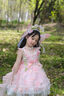 G.DUCKKIDS小黃鴨童裝洛麗塔公主裙女童裙子夏季蝴蝶仙子生日禮服吊帶裙兒童 裙子+拖尾+裙撐 100 建議2~3歲（ 90-100cm） 曬單實(shí)拍圖